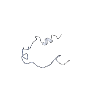 0950_6lqq_RY_v1-2
Cryo-EM structure of 90S small subunit preribosomes in transition states (State B)