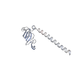 0950_6lqq_SH_v1-1
Cryo-EM structure of 90S small subunit preribosomes in transition states (State B)