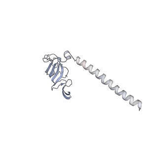 0950_6lqq_SH_v1-2
Cryo-EM structure of 90S small subunit preribosomes in transition states (State B)