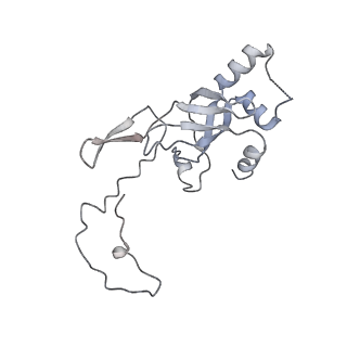 0950_6lqq_SJ_v1-2
Cryo-EM structure of 90S small subunit preribosomes in transition states (State B)