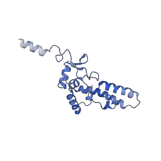 0950_6lqq_SK_v1-1
Cryo-EM structure of 90S small subunit preribosomes in transition states (State B)