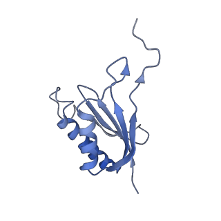 0950_6lqq_SP_v1-1
Cryo-EM structure of 90S small subunit preribosomes in transition states (State B)