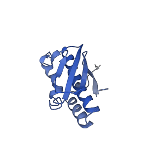 0950_6lqq_SR_v1-2
Cryo-EM structure of 90S small subunit preribosomes in transition states (State B)