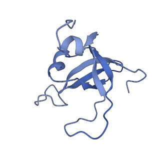 0950_6lqq_SY_v1-1
Cryo-EM structure of 90S small subunit preribosomes in transition states (State B)