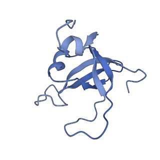 0950_6lqq_SY_v1-2
Cryo-EM structure of 90S small subunit preribosomes in transition states (State B)