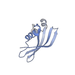 0950_6lqq_SZ_v1-2
Cryo-EM structure of 90S small subunit preribosomes in transition states (State B)