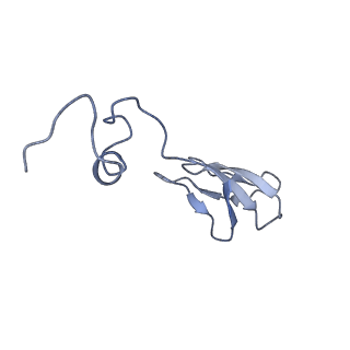 0950_6lqq_Sc_v1-2
Cryo-EM structure of 90S small subunit preribosomes in transition states (State B)