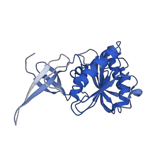0952_6lqs_3B_v1-1
Cryo-EM structure of 90S small subunit preribosomes in transition states (State D)