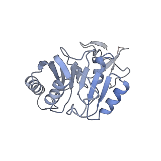 0952_6lqs_3C_v1-1
Cryo-EM structure of 90S small subunit preribosomes in transition states (State D)