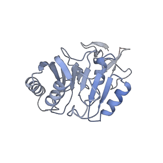 0952_6lqs_3C_v1-2
Cryo-EM structure of 90S small subunit preribosomes in transition states (State D)