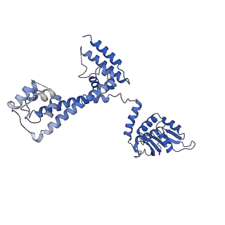 0952_6lqs_3D_v1-2
Cryo-EM structure of 90S small subunit preribosomes in transition states (State D)