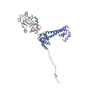 0952_6lqs_3E_v1-1
Cryo-EM structure of 90S small subunit preribosomes in transition states (State D)