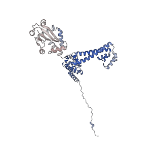 0952_6lqs_3E_v1-2
Cryo-EM structure of 90S small subunit preribosomes in transition states (State D)