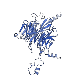 0952_6lqs_3F_v1-1
Cryo-EM structure of 90S small subunit preribosomes in transition states (State D)