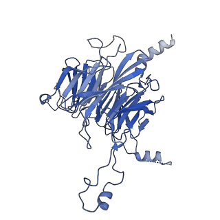 0952_6lqs_3F_v1-2
Cryo-EM structure of 90S small subunit preribosomes in transition states (State D)