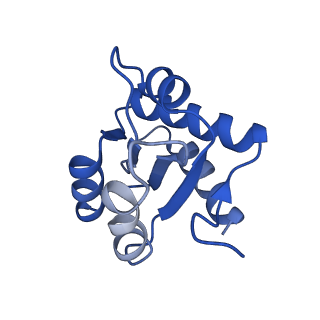 0952_6lqs_3H_v1-1
Cryo-EM structure of 90S small subunit preribosomes in transition states (State D)