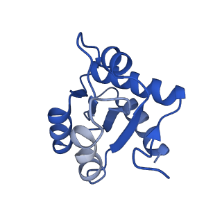 0952_6lqs_3H_v1-2
Cryo-EM structure of 90S small subunit preribosomes in transition states (State D)