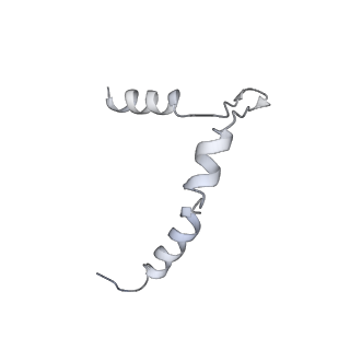 0952_6lqs_5B_v1-1
Cryo-EM structure of 90S small subunit preribosomes in transition states (State D)