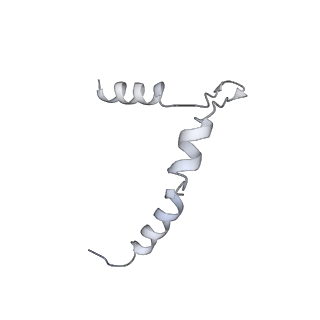 0952_6lqs_5B_v1-2
Cryo-EM structure of 90S small subunit preribosomes in transition states (State D)