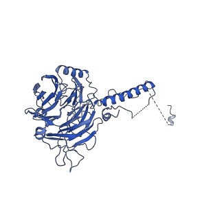 0952_6lqs_5C_v1-1
Cryo-EM structure of 90S small subunit preribosomes in transition states (State D)