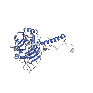 0952_6lqs_5C_v1-2
Cryo-EM structure of 90S small subunit preribosomes in transition states (State D)