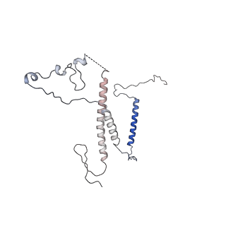 0952_6lqs_5D_v1-1
Cryo-EM structure of 90S small subunit preribosomes in transition states (State D)