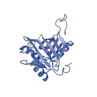 0952_6lqs_5G_v1-1
Cryo-EM structure of 90S small subunit preribosomes in transition states (State D)