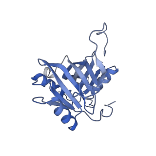 0952_6lqs_5G_v1-2
Cryo-EM structure of 90S small subunit preribosomes in transition states (State D)