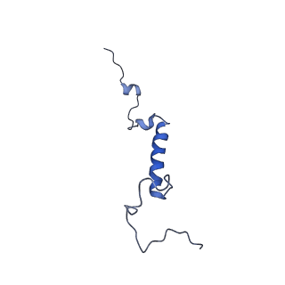 0952_6lqs_5H_v1-1
Cryo-EM structure of 90S small subunit preribosomes in transition states (State D)