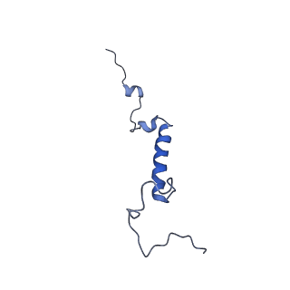 0952_6lqs_5H_v1-2
Cryo-EM structure of 90S small subunit preribosomes in transition states (State D)