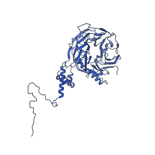 0952_6lqs_5I_v1-1
Cryo-EM structure of 90S small subunit preribosomes in transition states (State D)