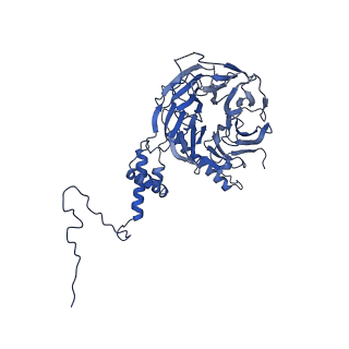 0952_6lqs_5I_v1-2
Cryo-EM structure of 90S small subunit preribosomes in transition states (State D)