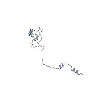 0952_6lqs_5J_v1-2
Cryo-EM structure of 90S small subunit preribosomes in transition states (State D)