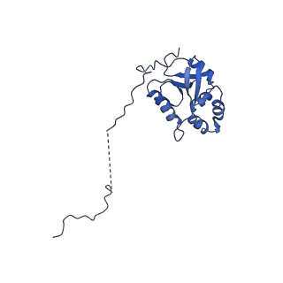0952_6lqs_5K_v1-1
Cryo-EM structure of 90S small subunit preribosomes in transition states (State D)