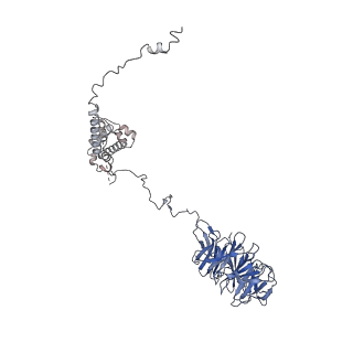 0952_6lqs_A5_v1-2
Cryo-EM structure of 90S small subunit preribosomes in transition states (State D)