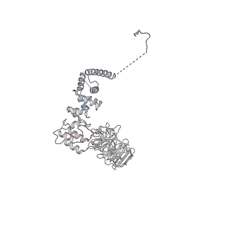 0952_6lqs_A8_v1-1
Cryo-EM structure of 90S small subunit preribosomes in transition states (State D)
