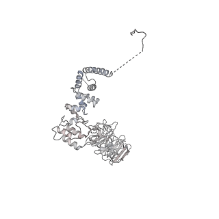 0952_6lqs_A8_v1-2
Cryo-EM structure of 90S small subunit preribosomes in transition states (State D)