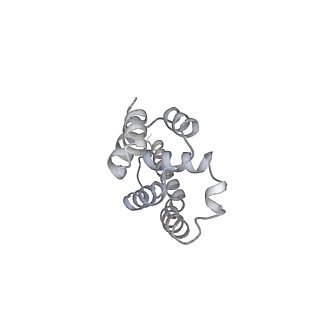 0952_6lqs_A9_v1-2
Cryo-EM structure of 90S small subunit preribosomes in transition states (State D)