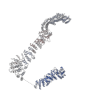 0952_6lqs_AE_v1-1
Cryo-EM structure of 90S small subunit preribosomes in transition states (State D)