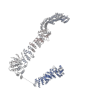 0952_6lqs_AE_v1-2
Cryo-EM structure of 90S small subunit preribosomes in transition states (State D)