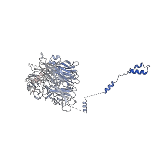 0952_6lqs_AG_v1-1
Cryo-EM structure of 90S small subunit preribosomes in transition states (State D)