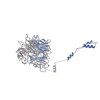 0952_6lqs_AG_v1-2
Cryo-EM structure of 90S small subunit preribosomes in transition states (State D)