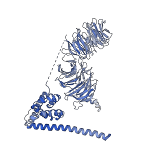 0952_6lqs_B2_v1-1
Cryo-EM structure of 90S small subunit preribosomes in transition states (State D)