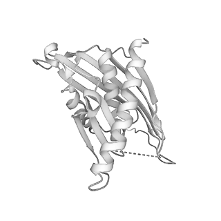 0952_6lqs_M3_v1-2
Cryo-EM structure of 90S small subunit preribosomes in transition states (State D)