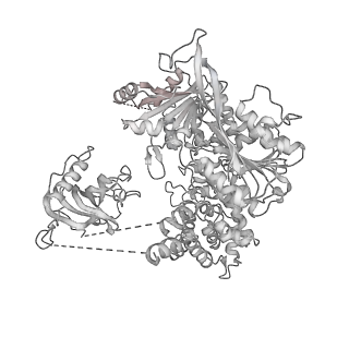 0952_6lqs_M4_v1-1
Cryo-EM structure of 90S small subunit preribosomes in transition states (State D)