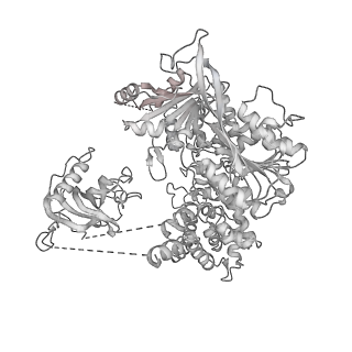 0952_6lqs_M4_v1-2
Cryo-EM structure of 90S small subunit preribosomes in transition states (State D)