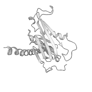 0952_6lqs_R1_v1-1
Cryo-EM structure of 90S small subunit preribosomes in transition states (State D)