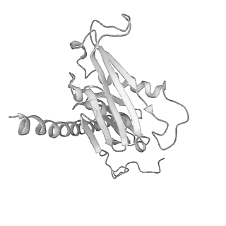 0952_6lqs_R1_v1-2
Cryo-EM structure of 90S small subunit preribosomes in transition states (State D)