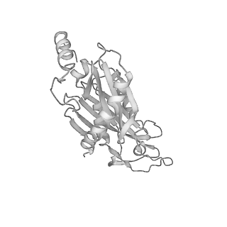 0952_6lqs_R2_v1-1
Cryo-EM structure of 90S small subunit preribosomes in transition states (State D)