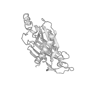 0952_6lqs_R2_v1-2
Cryo-EM structure of 90S small subunit preribosomes in transition states (State D)